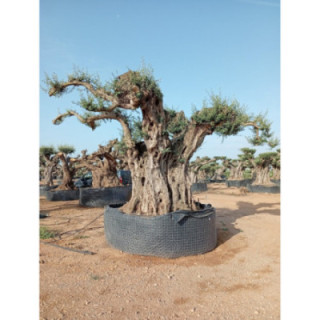 OPR30 - L07001