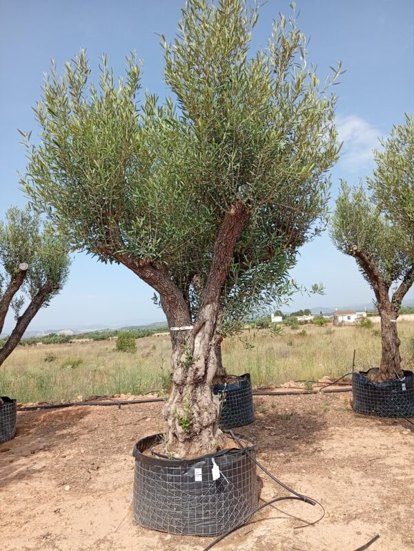 ONM120 - L0003/2